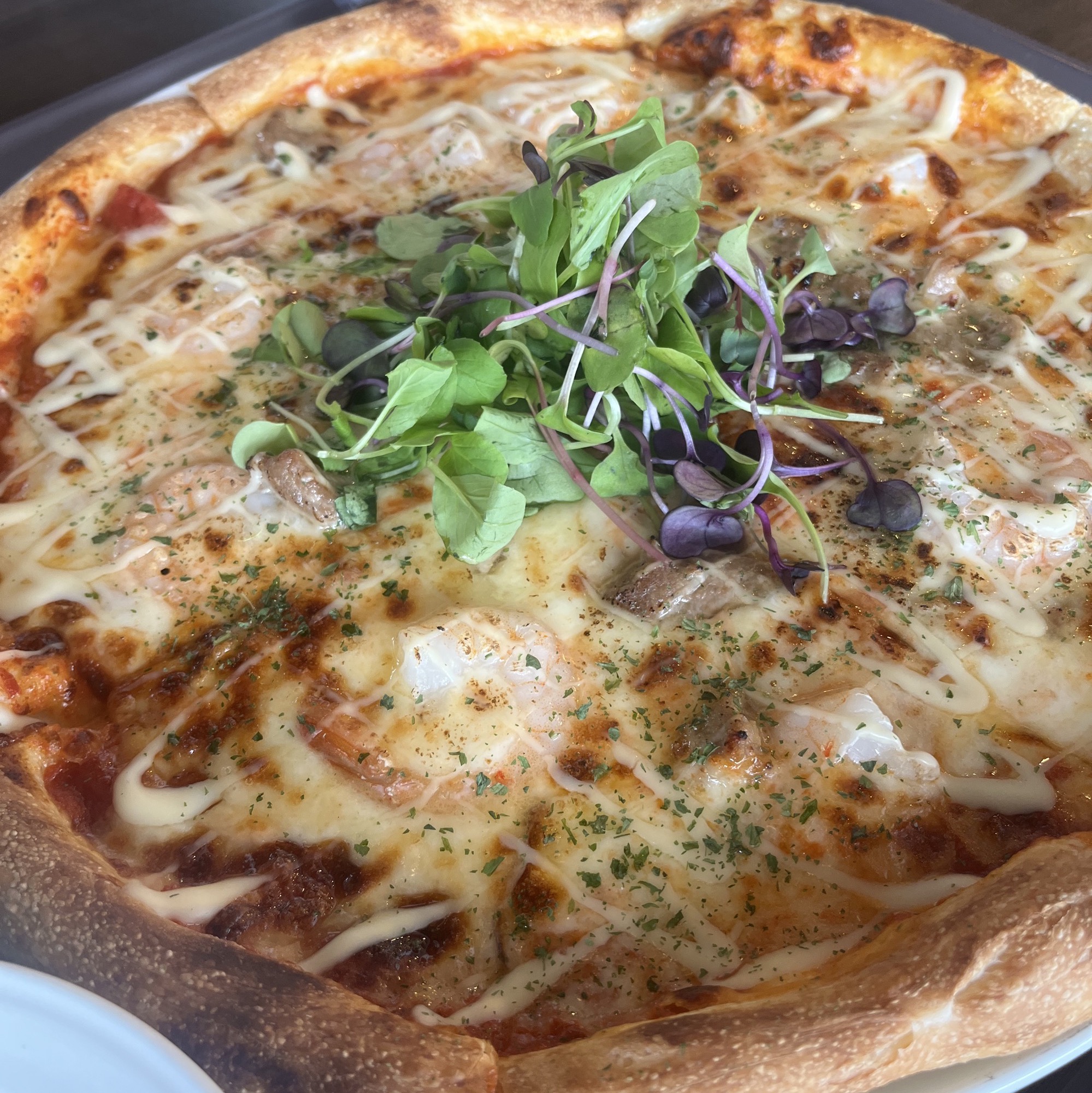 애견 카페 맛집 피자가 맛잇음 빵은 별로엿음