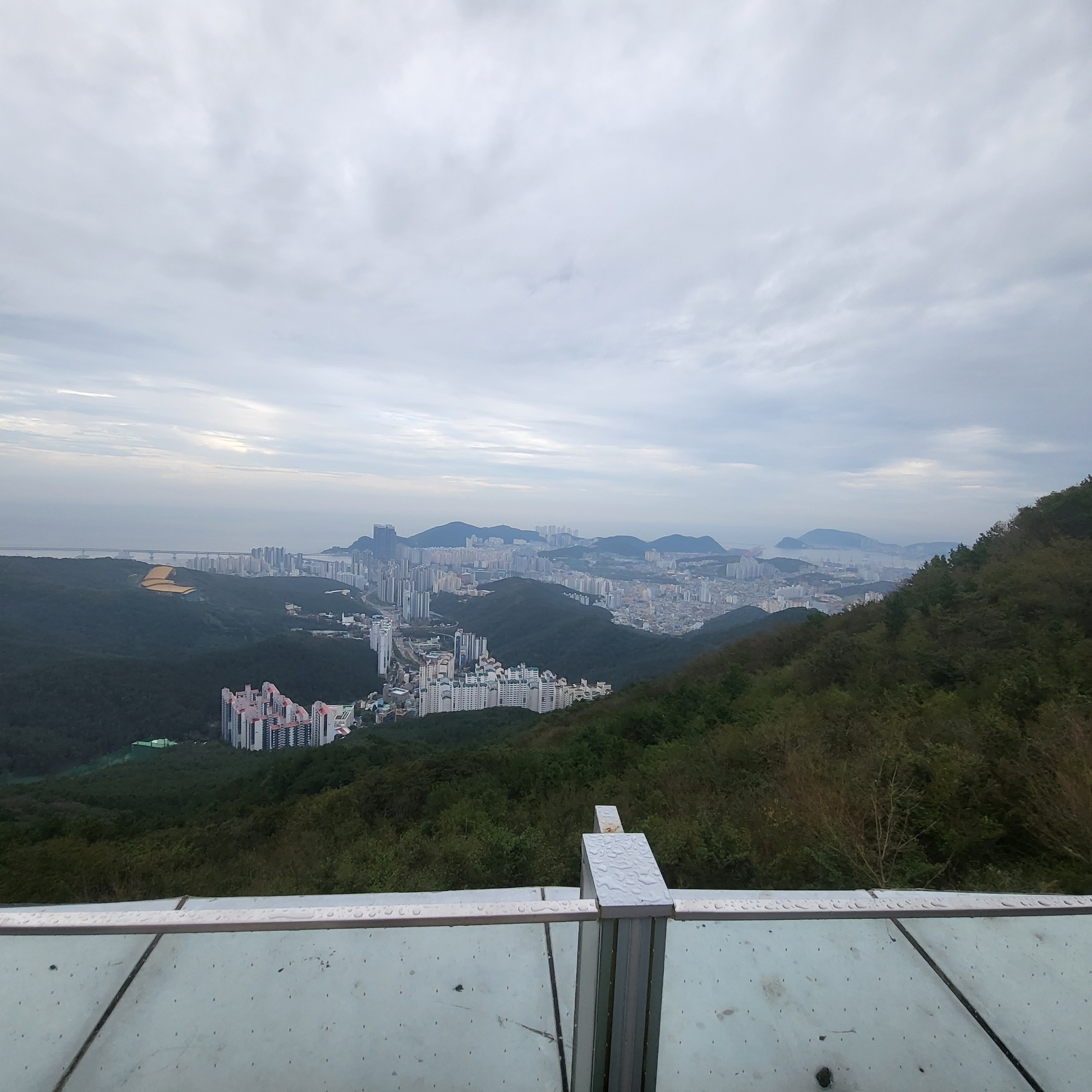 부산의 절반 보임