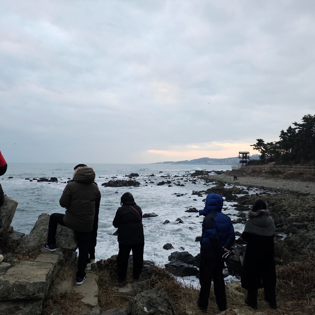 해를 여기서 볼 수 있다